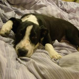 Meet your Posher, Eike